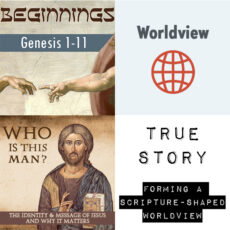 Worldview: 3-Series Bundle