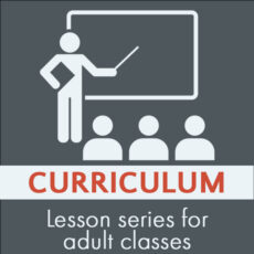 Curriculum